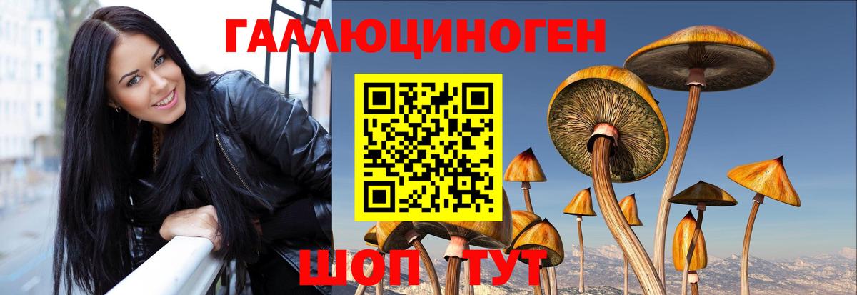 Галлюциногенные грибы Psilocybe Санкт-Петербург
