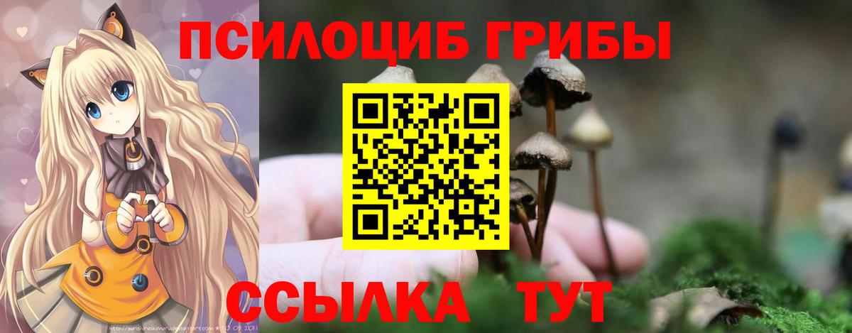 где продают   Галлюциногенные грибы GOLDEN TEACHER  Вход с VPN  Санкт-Петербург  Галлюциногенные грибы MAGIC MUSHROOMS 