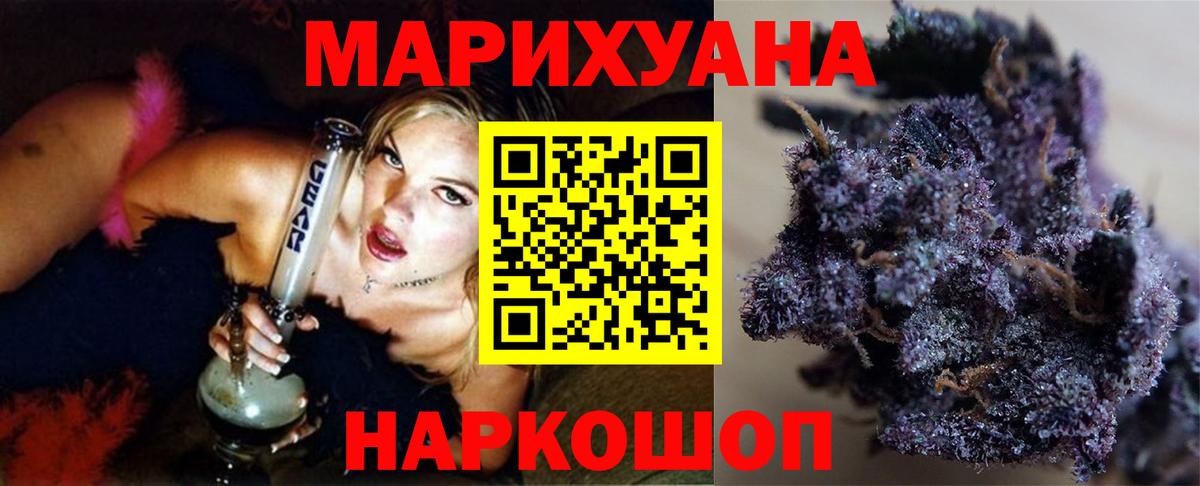 Конопля гибрид Санкт-Петербург